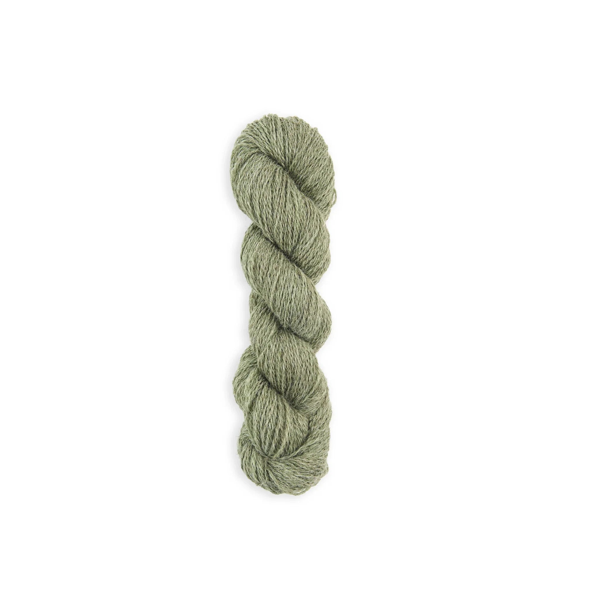Bramble & Fleece Sheepsoft 4 Ply British wool yarn in shade Grassington 220