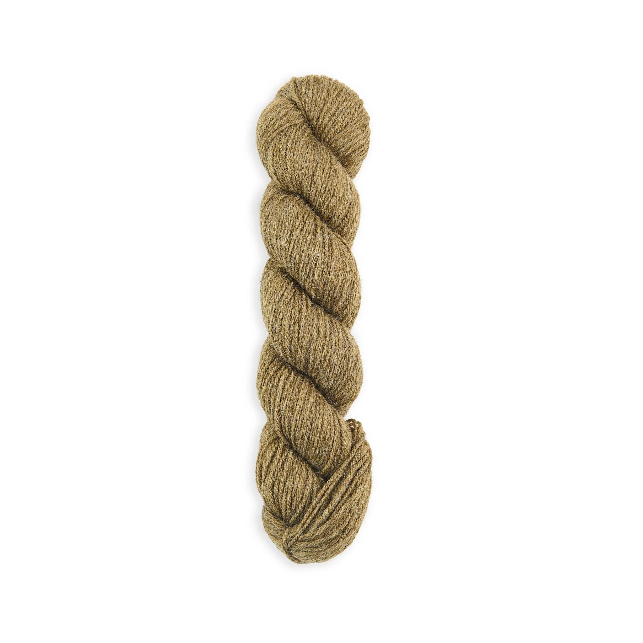 Bramble & Fleece Sheepsoft DK British wool yarn in shade Malham 286