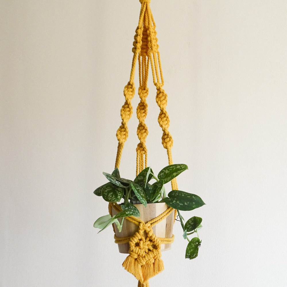 Boho Style Plant Hanger - Macramé Pattern (FREE PDF Download)