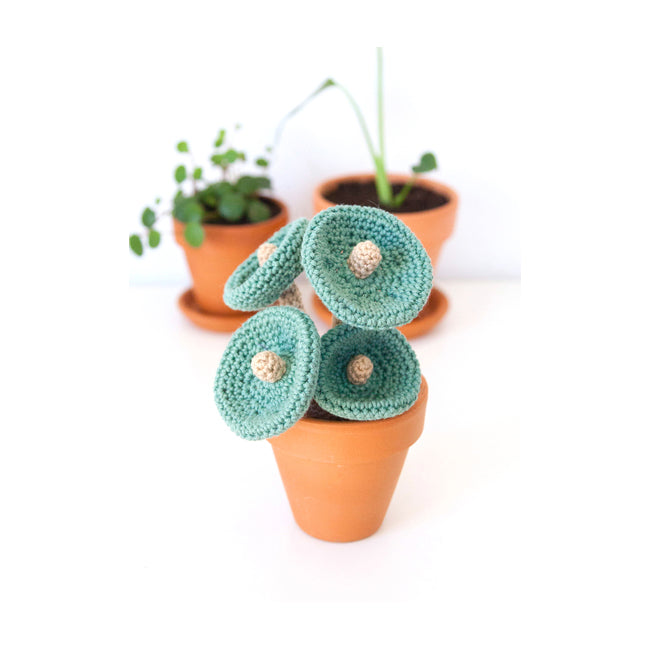Crochet Plant Crochet Pattern (FREE PDF Download)