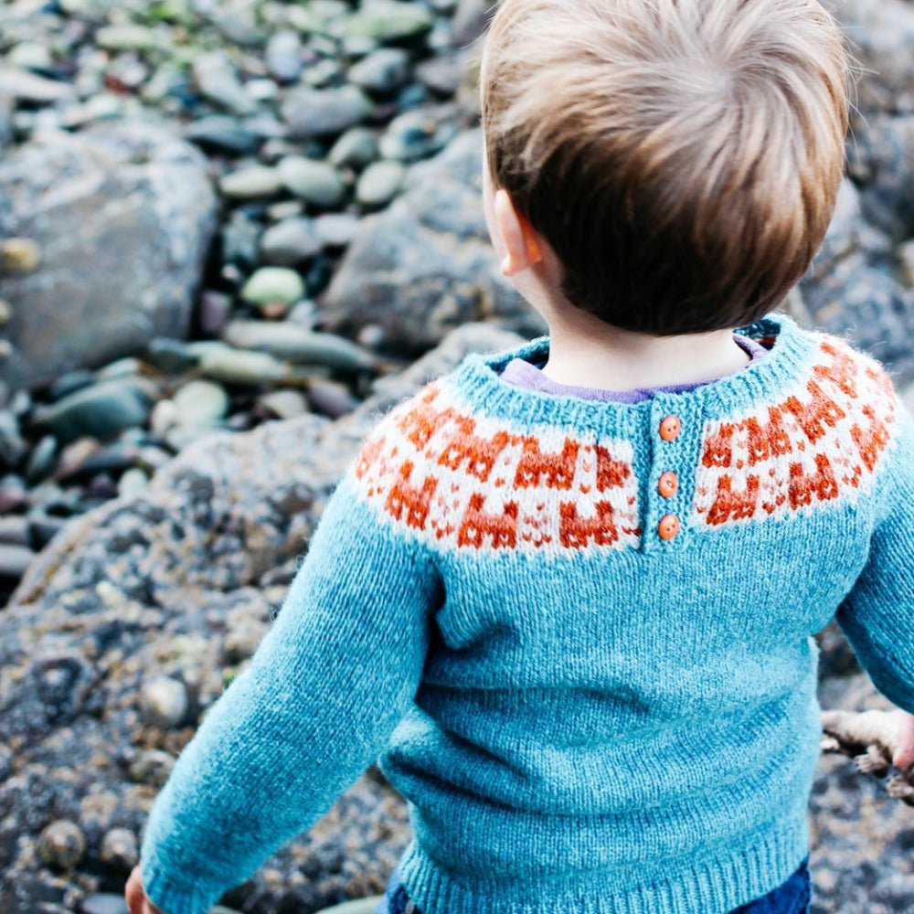 Bairns Crofthoose Yoke Jumper - Knitting Pattern