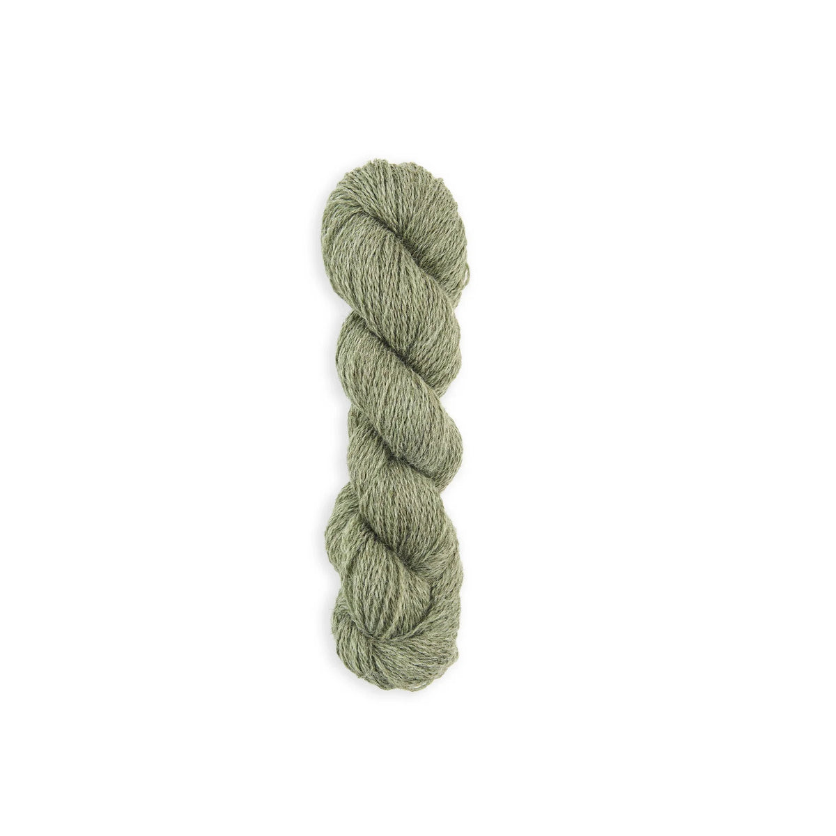Bramble & Fleece Sheepsoft 4 Ply British wool yarn in shade Grassington 220