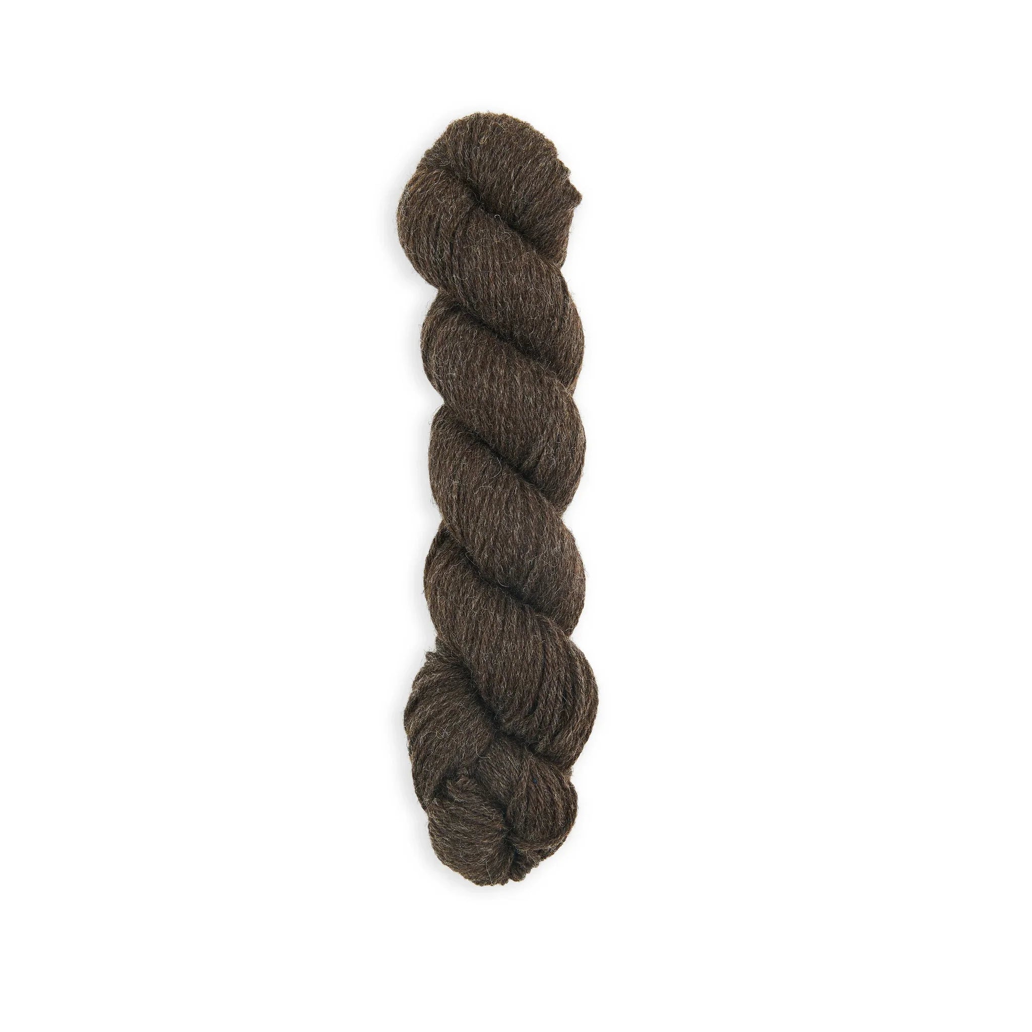 Bramble & Fleece Sheepsoft Aran British wool yarn in shade Eskdale 346