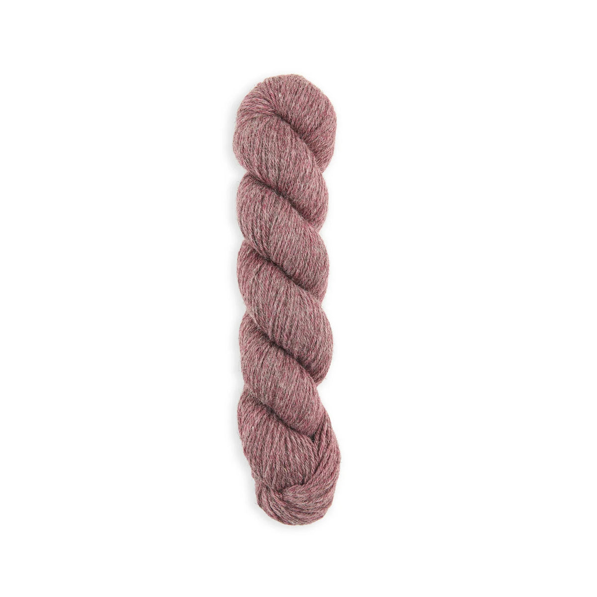 Bramble & Fleece Sheepsoft DK British wool yarn in shade Settle 284