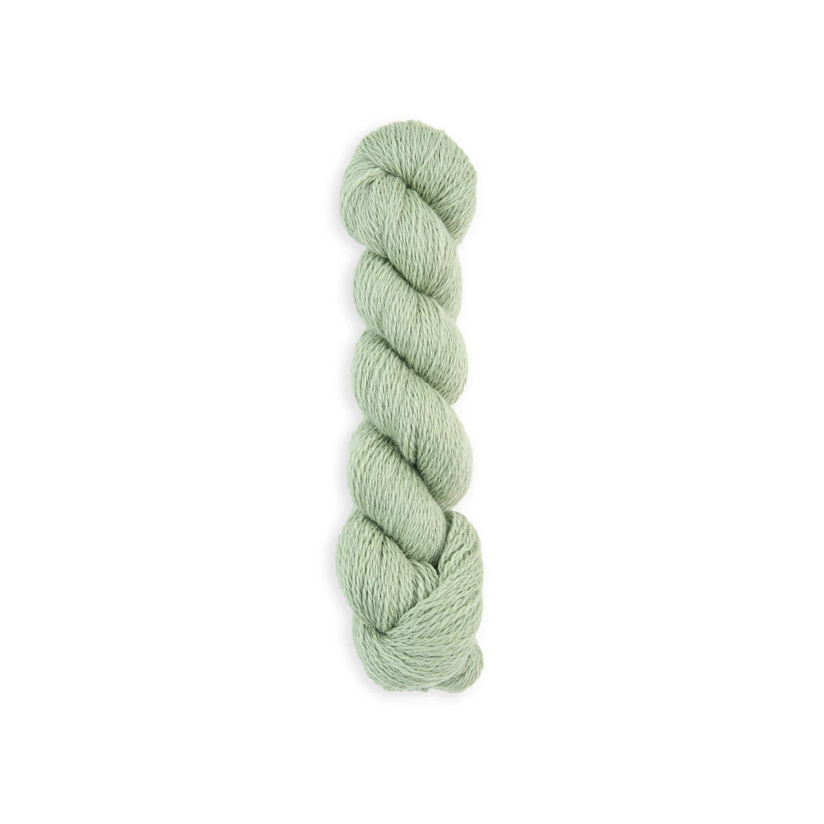Bramble & Fleece Wooltrace 4 Ply British wool yarn in shade Celadine 244