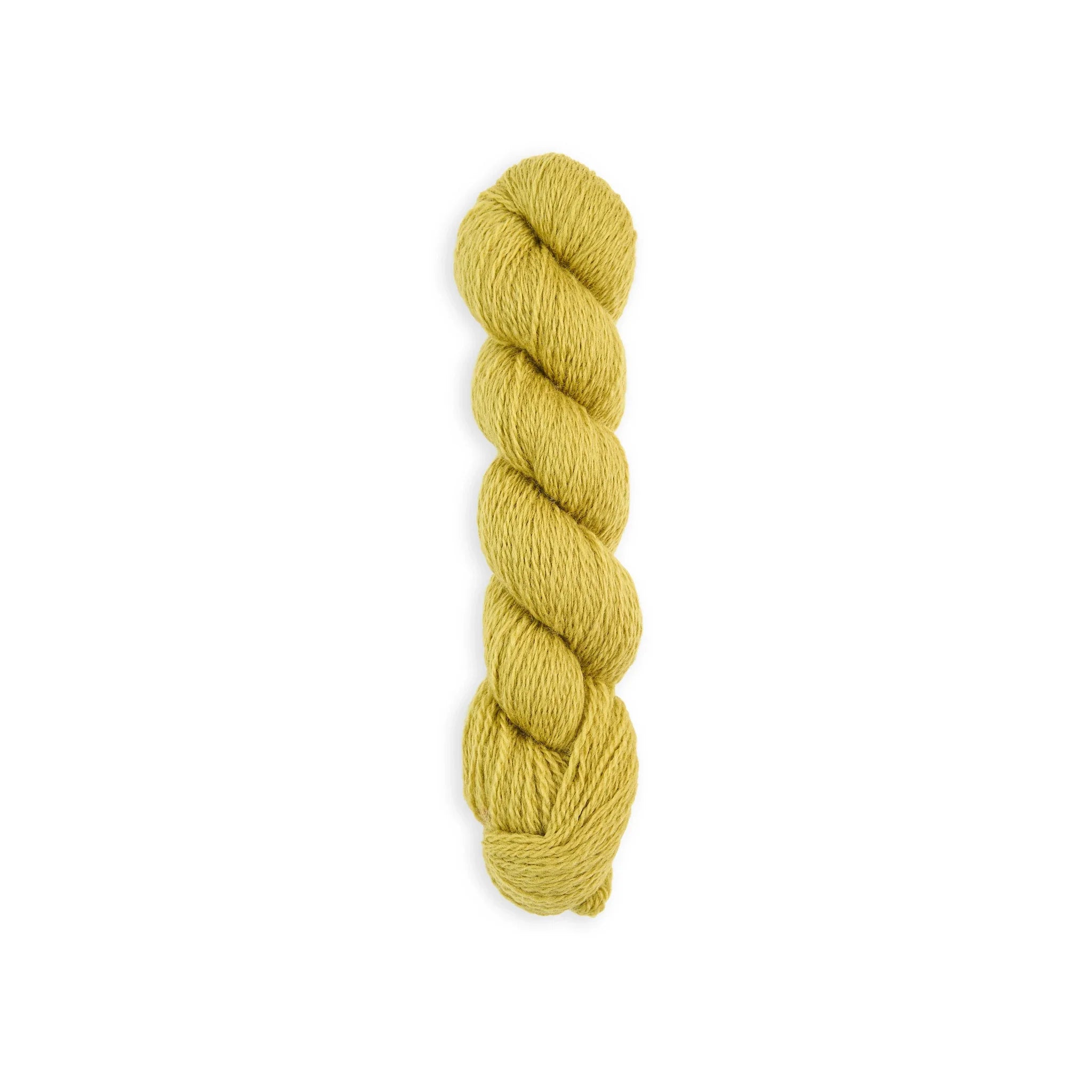 Bramble & Fleece Wooltrace 4 Ply British wool yarn in shade Dried Lime 248