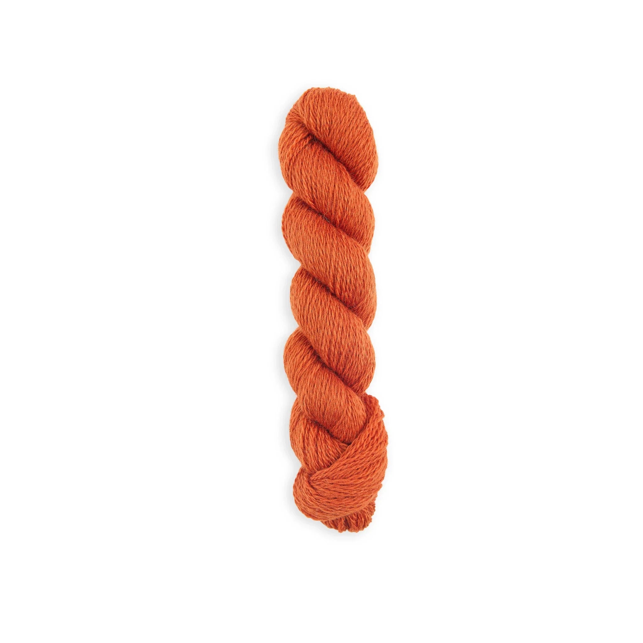 Bramble & Fleece Wooltrace 4 Ply British wool yarn in shade Sunset 242