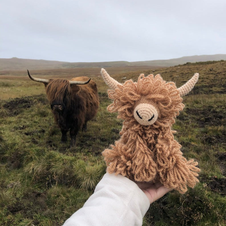 Morag the Highland Coo - Crochet Kit