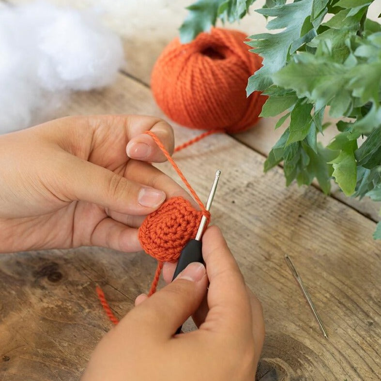 Mini Anthony the Ankylosaurus - Crochet Kit