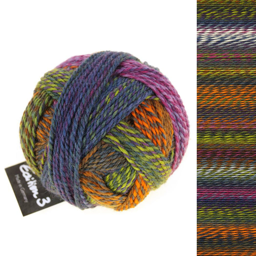 Ball of Schoppel Edition 3, 100% virgin wool sport weight gradient yarn, in shade Garden Days 2328