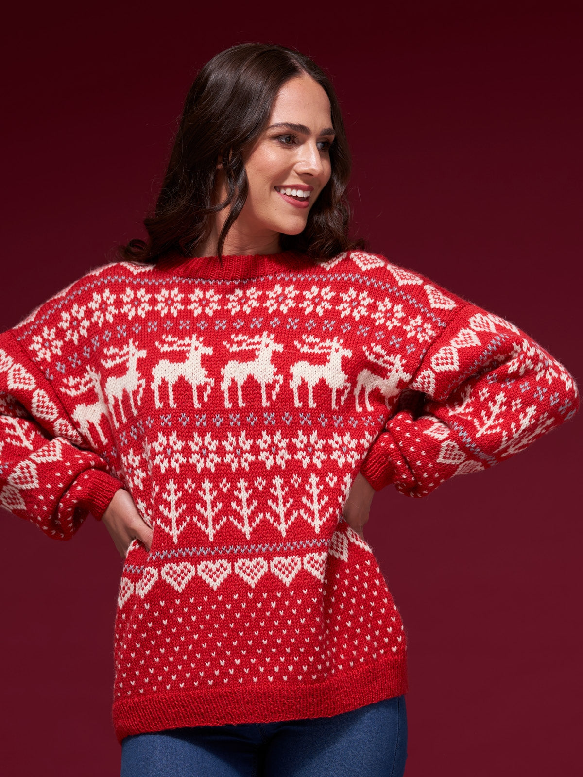 Festive Family - Knitting Pattern Book