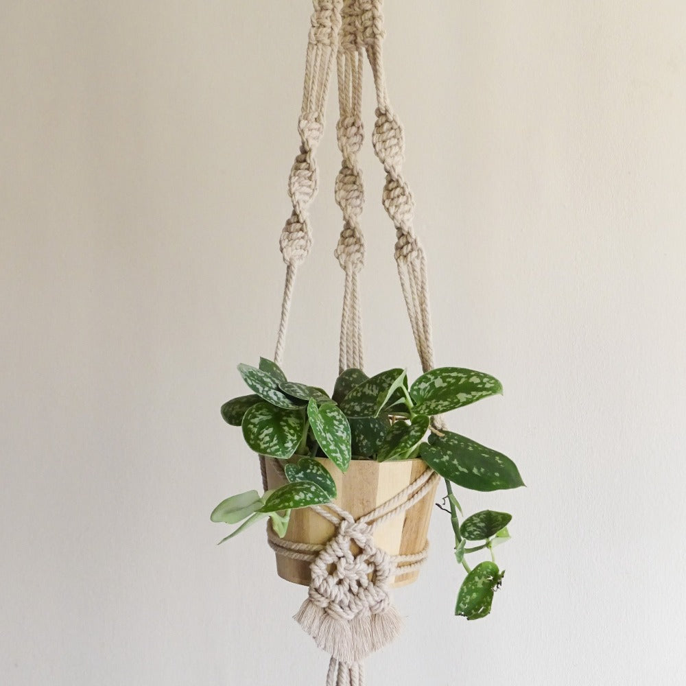 Boho Style Plant Hanger - Macramé Pattern (downloadable PDF)