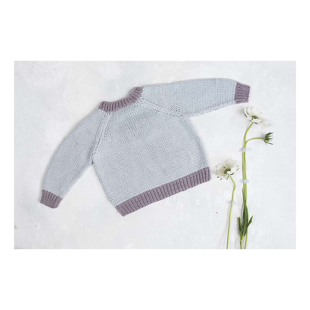 Bloom at Rowan Buch Vier Baby Basics von Martin Storey