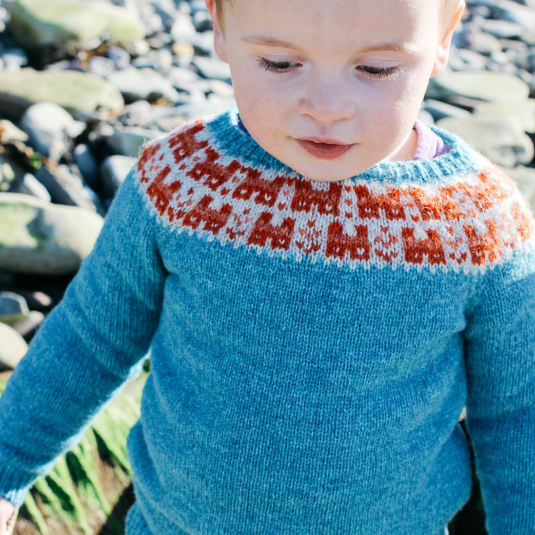 Bairns Crofthoose Yoke Jumper - Knitting Pattern