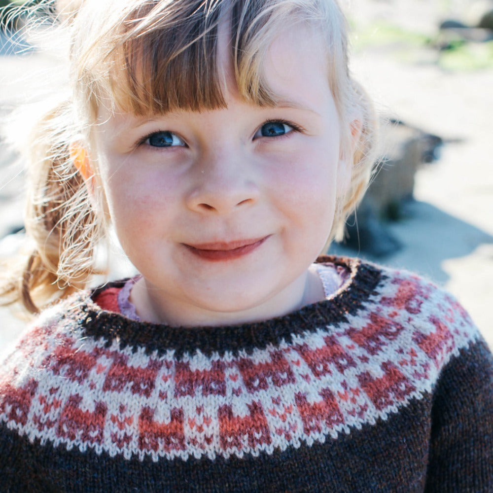 Bairns Crofthoose Yoke Jumper - Knitting Pattern